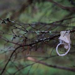 Hämeenlinnan ja Janakkalan rajalta löytyi käytettyjen kondomien。